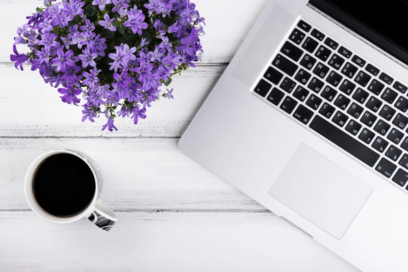 香港網貸市場全解析