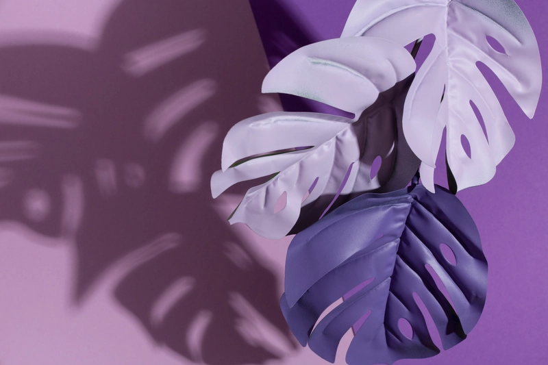 如何在香港網貸市場聰明借貸？